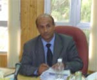 ���� �������