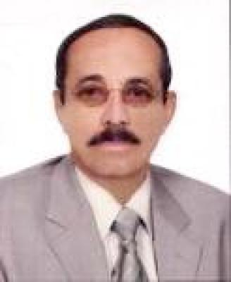 �. ���� ���� ��������